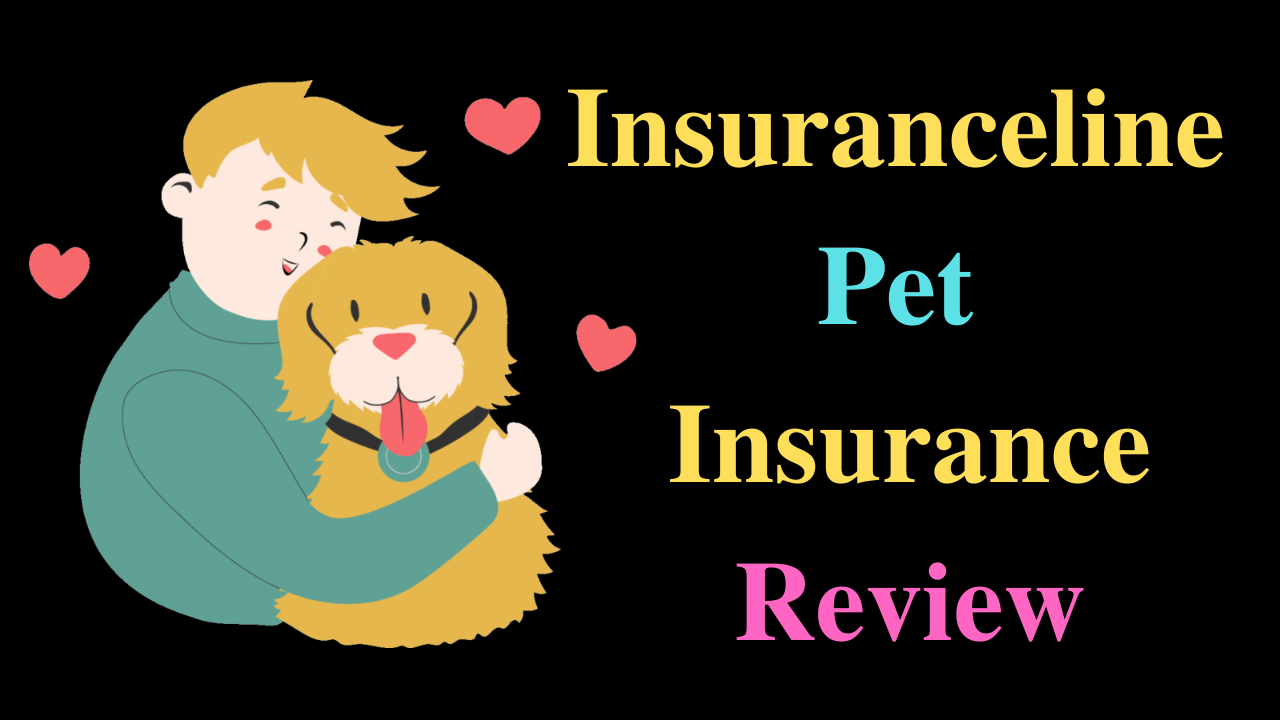 Insuranceline Pet Insurance Review